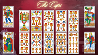 Tarot of the Blue Rose - Deck & Book
