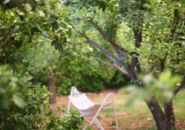 Nature's Oasis Sanctuary