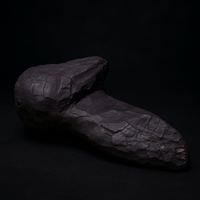 Riptide - Dragon Scale Fossil