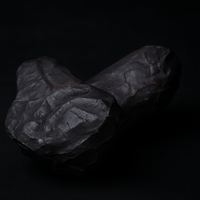 Riptide - Dragon Scale Fossil