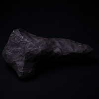 Riptide - Dragon Scale Fossil