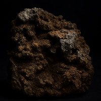 Pyrite Veined Ironstone Relic
