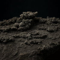 Pyrite Veined Ironstone Relic