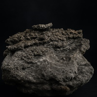 Pyrite Veined Ironstone Relic